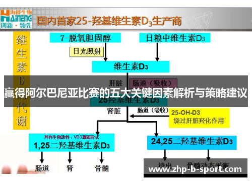 赢得阿尔巴尼亚比赛的五大关键因素解析与策略建议